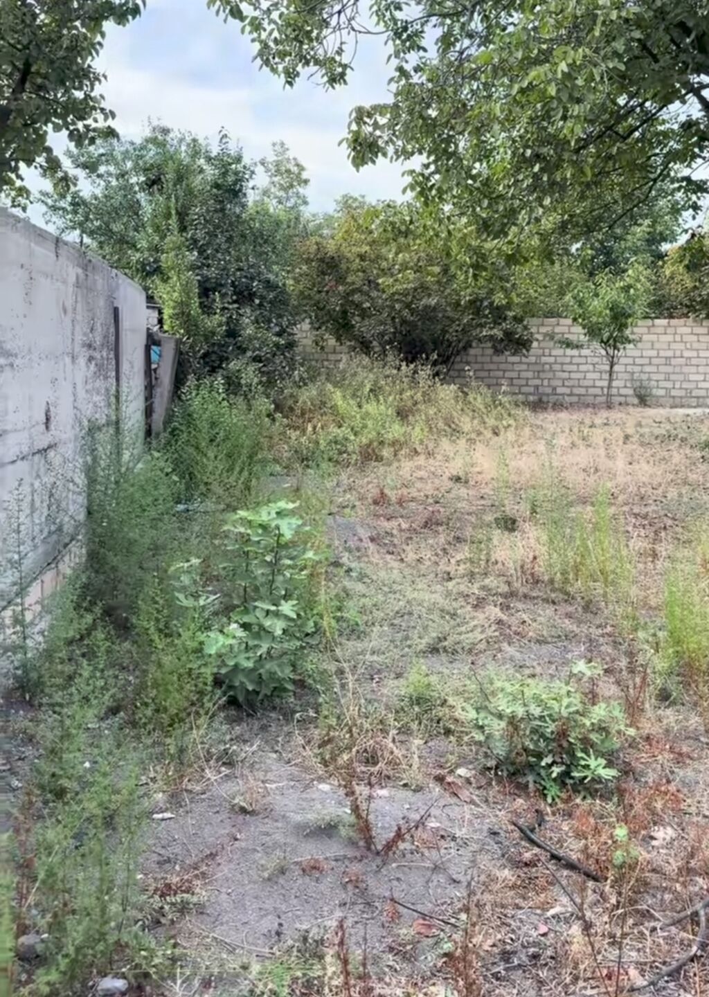10 sot, Tikinti, Barter mümkündür, Kupça (Çıxarış)