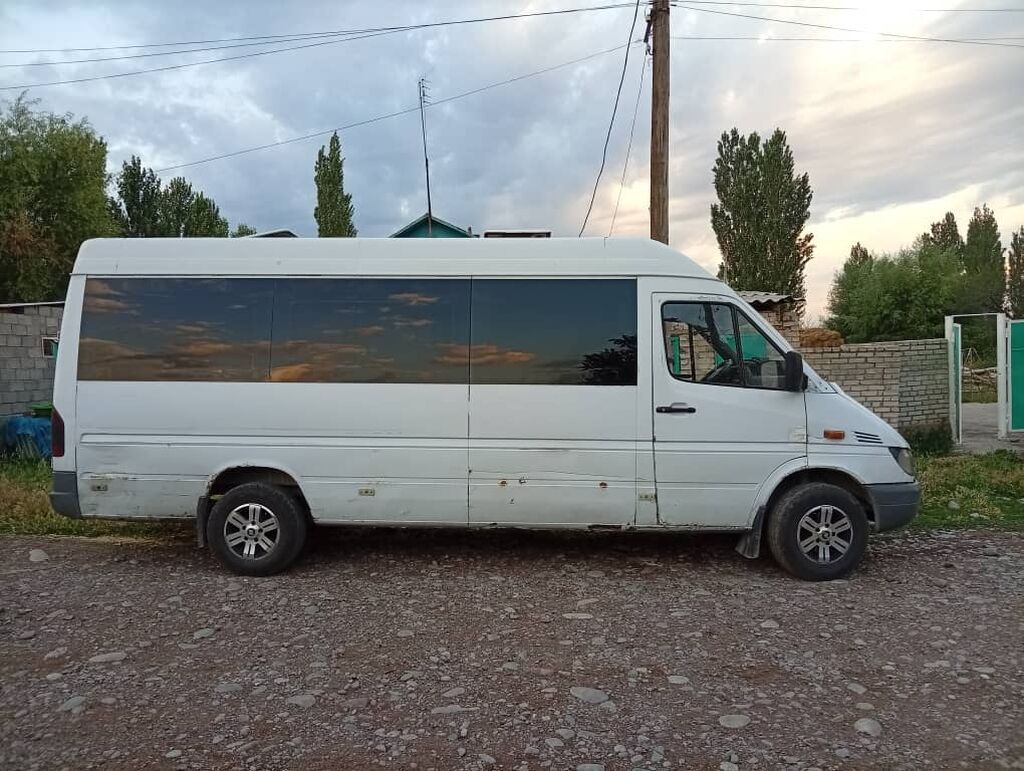 Mercedes-Benz Спринтер: 2002 г., 2.9 л: фото 1