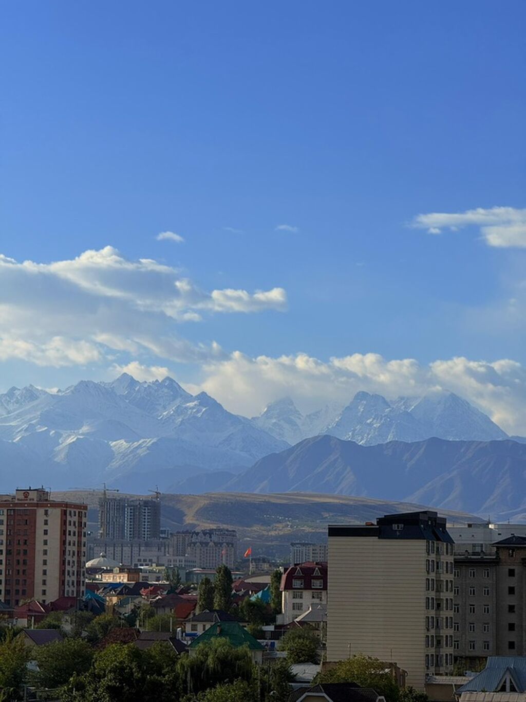 Сдам светлую квартиру с современной кухней в Бишкеке: фото 5