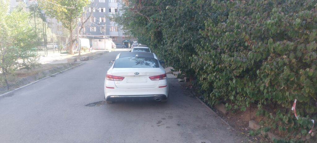 Kia Optima: 2020 г., 0.2 л, Газ, Седан