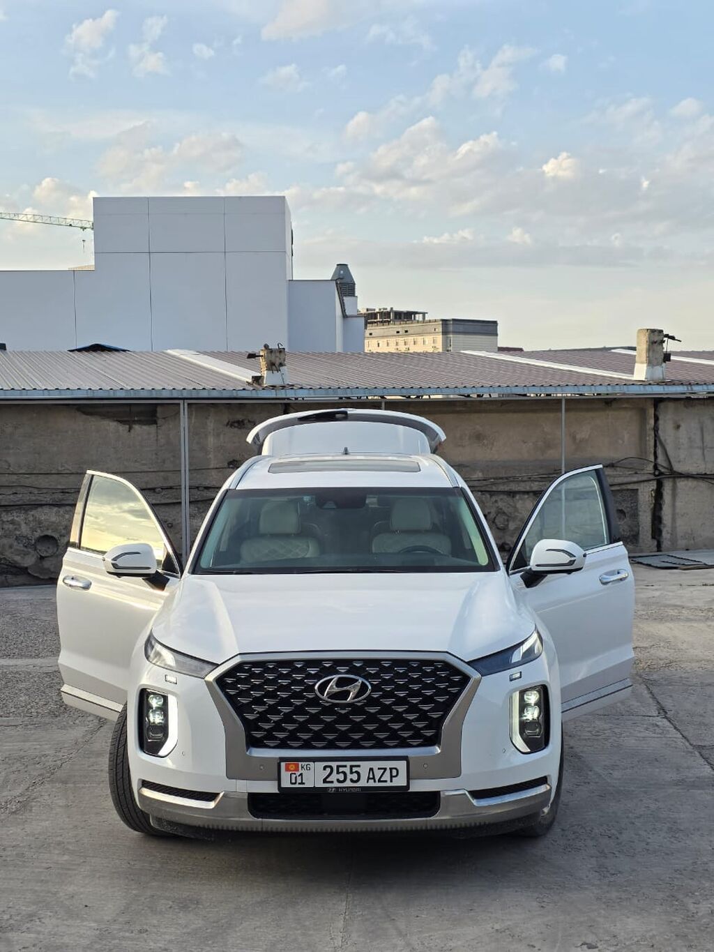 Hyundai Palisade: 2021 г., 3.8 л, Автомат, Бензин, Кроссовер: фото 3
