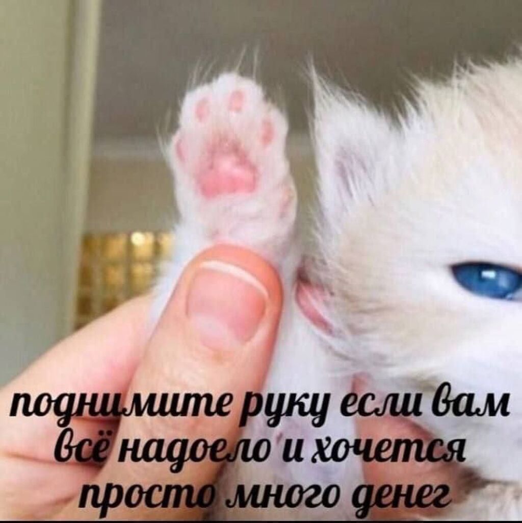Ищу подработку: помощница, бариста, няня: фото 2