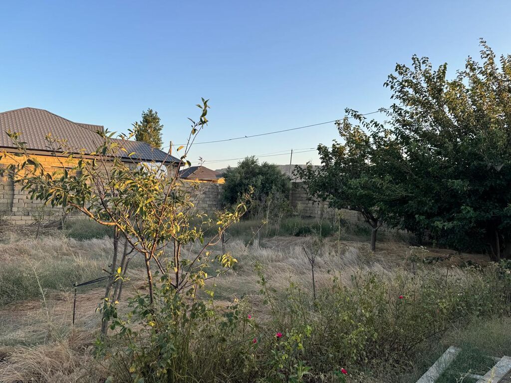 8 sot, Tikinti, Mülkiyyətçi, Kupça (Çıxarış)