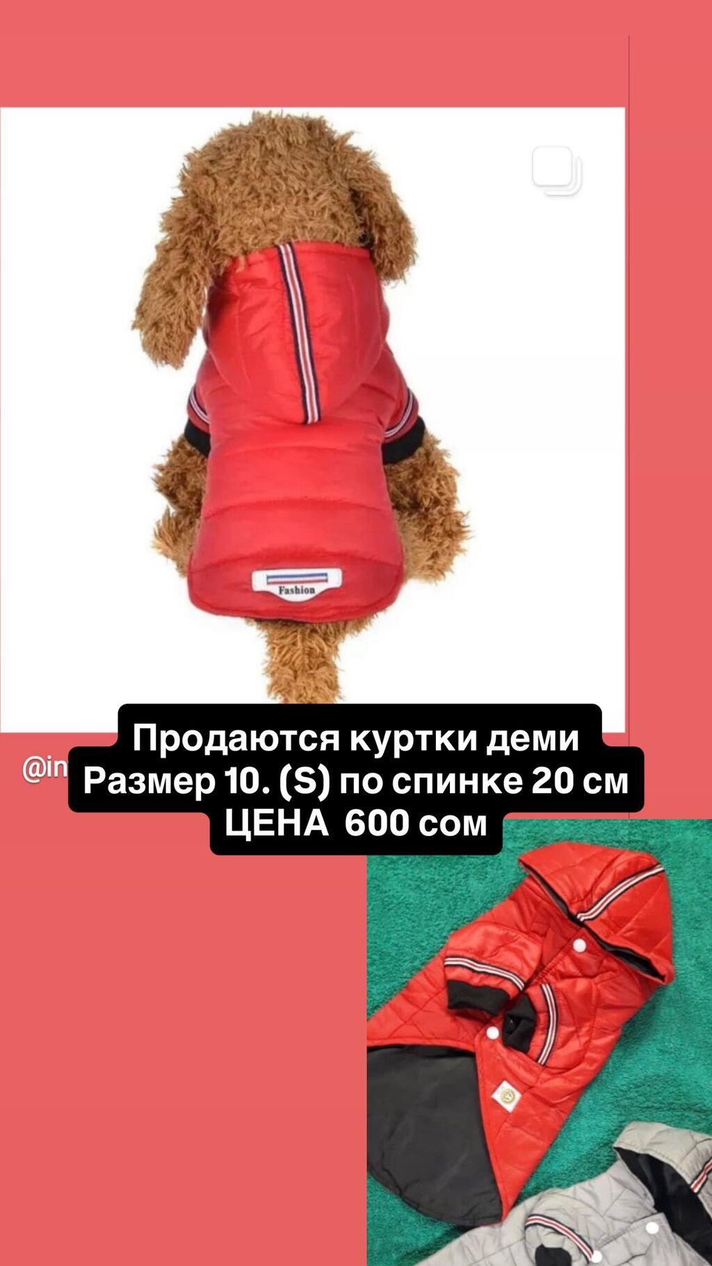 Новая одежда для собак и кошек от 200 сом: фото 3