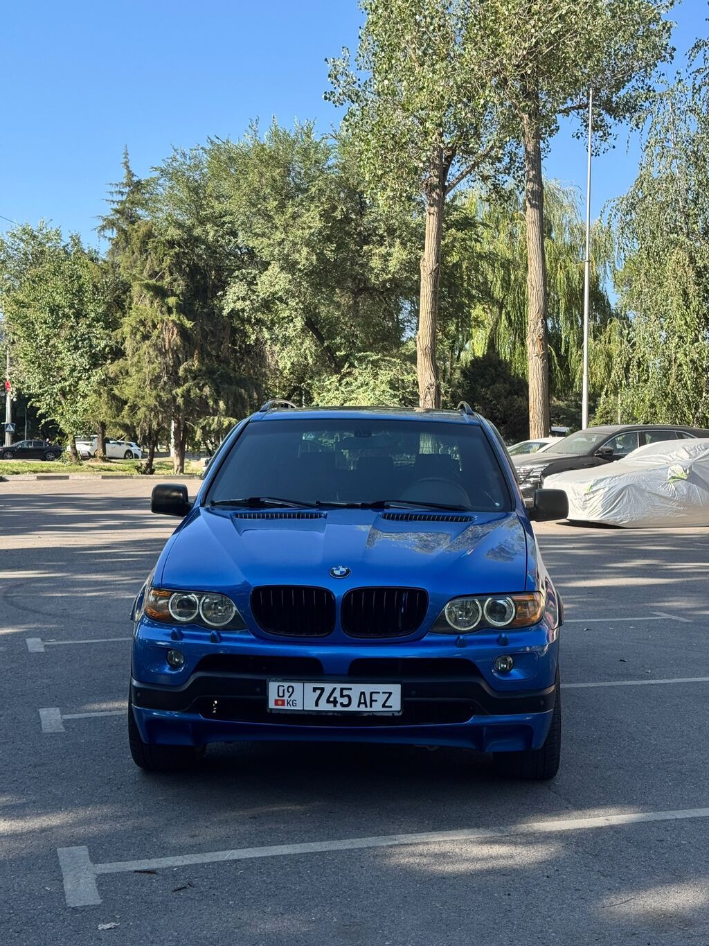 BMW X5: 2003 г., 4.6 л, Автомат, Бензин, Внедорожник: фото 3