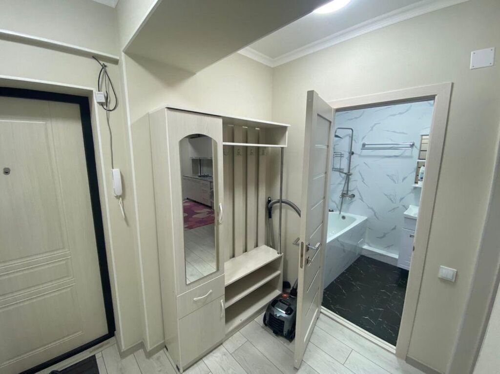 1 комната, 46 м², Филармония Элитка, 6 этаж, Косметический ремонт: фото 5
