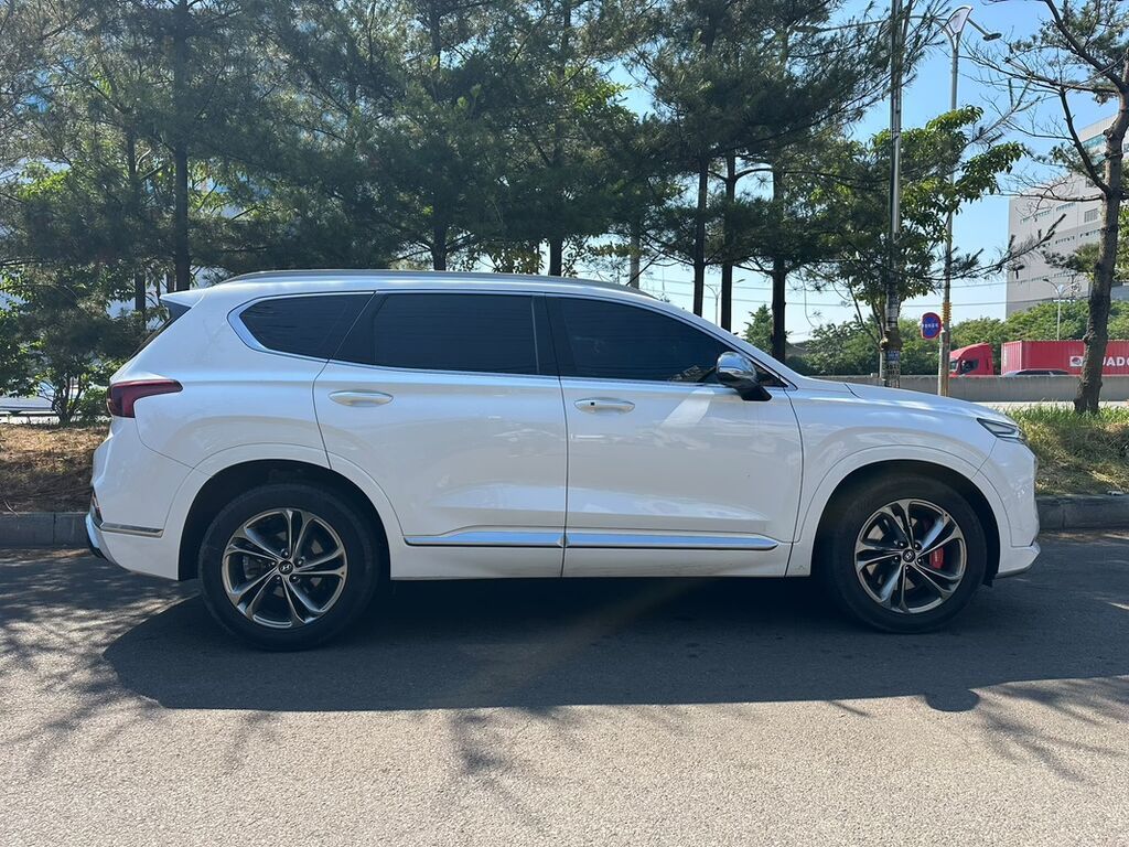 Hyundai Santa Fe: 2020 г., 2.2 л, Автомат, Дизель, Кроссовер: фото 6
