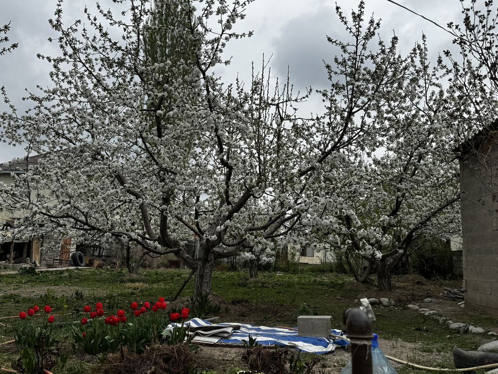 Арча-бешик Куюкова / Чортекова 9,5 соток В самом востребованном: фото 5