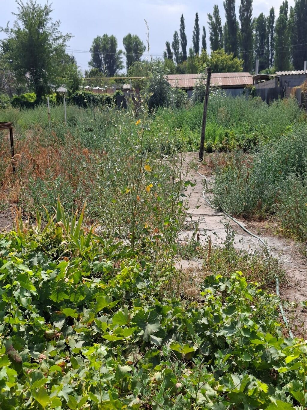 Продается! Дом в с. Ново- Покровка,в районе улицы Крупская,S-: фото 7