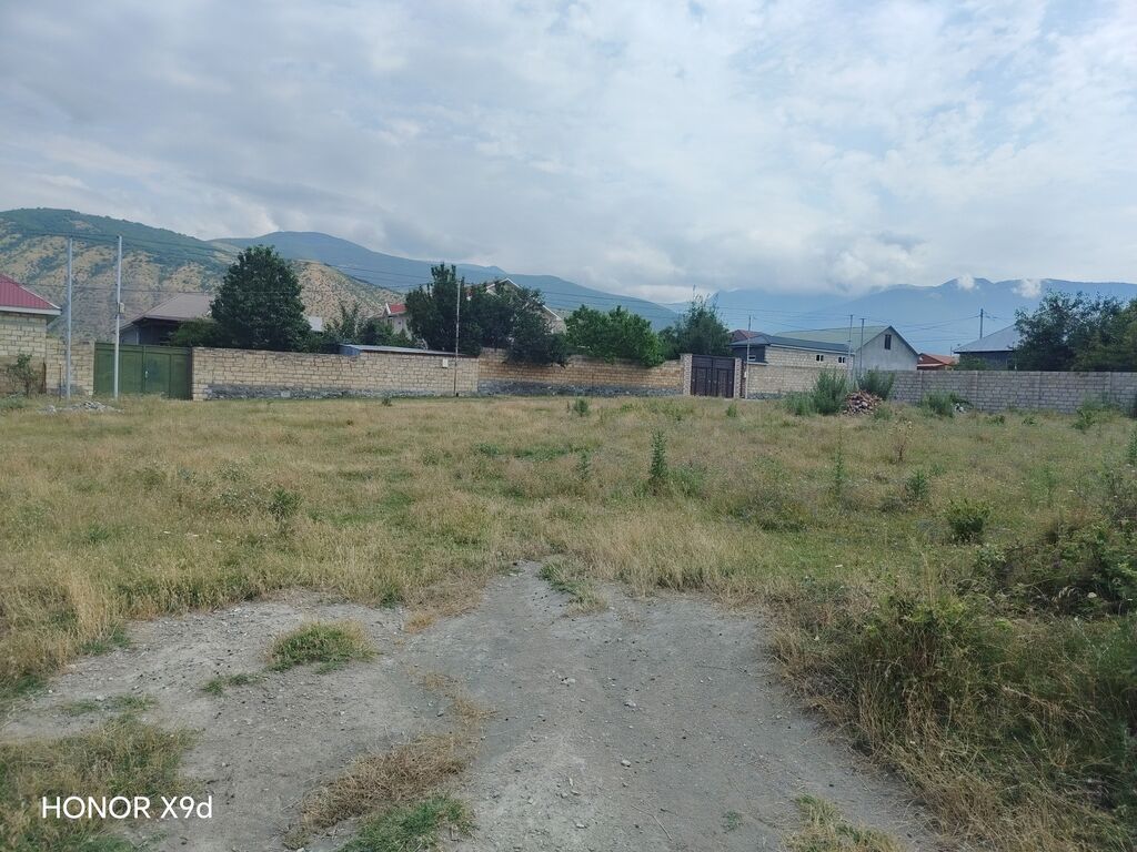 6 sot, Mülkiyyətçi, Kupça (Çıxarış)