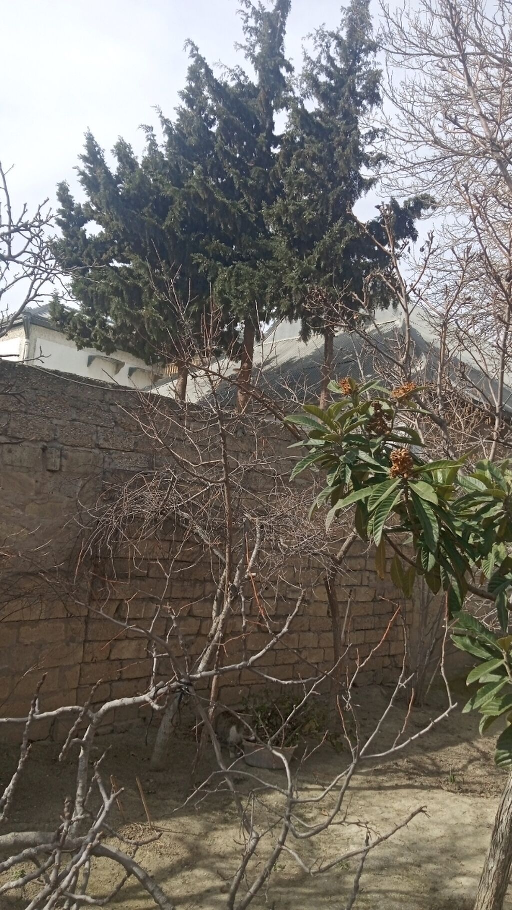 Ağ şəhər 12 otaq, 800 kv. m, Kredit yoxdur, Orta təmir