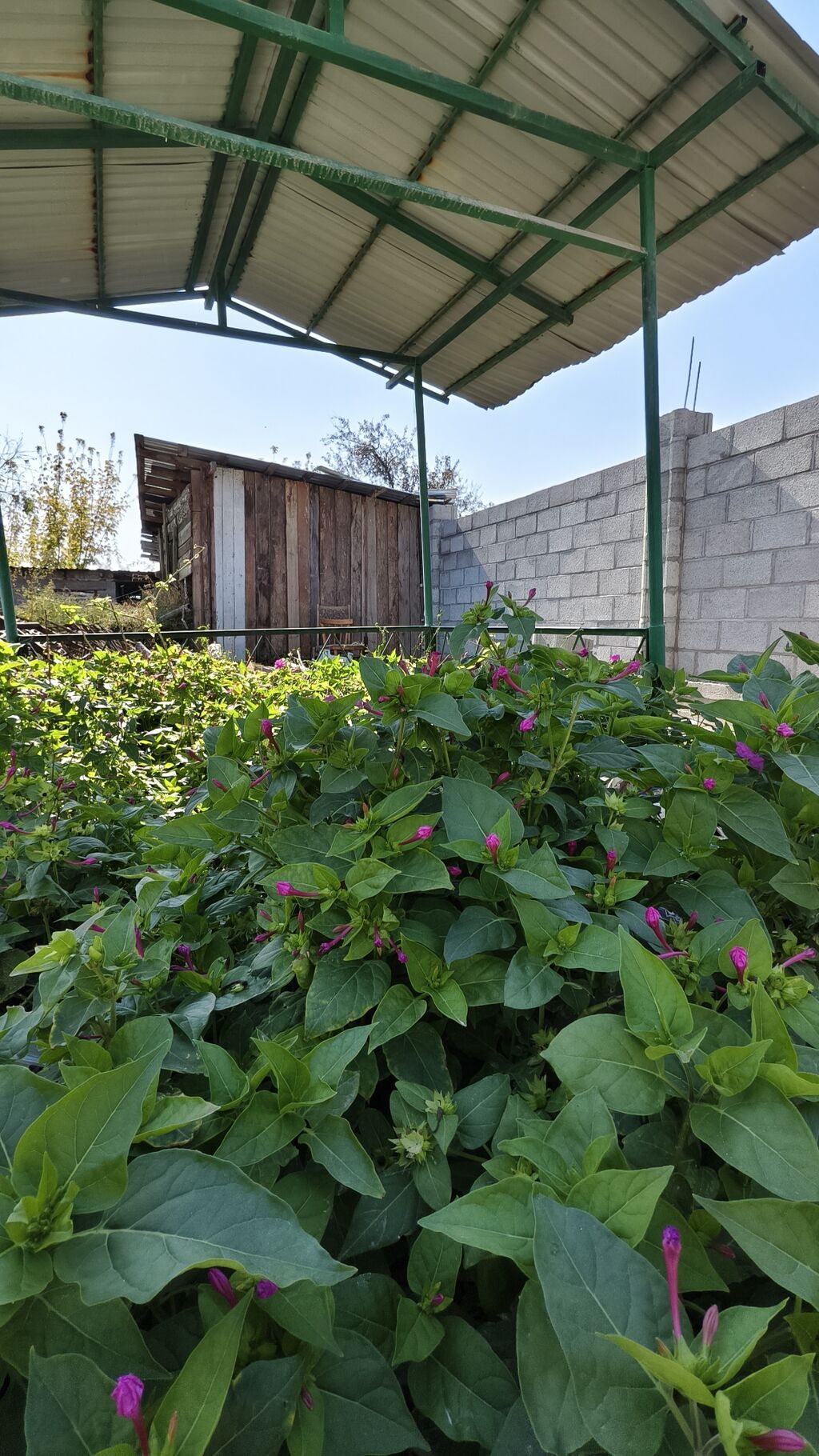 Продаю дом в Милянфане, участок 5 соток (Красная книга). Дом: фото 3