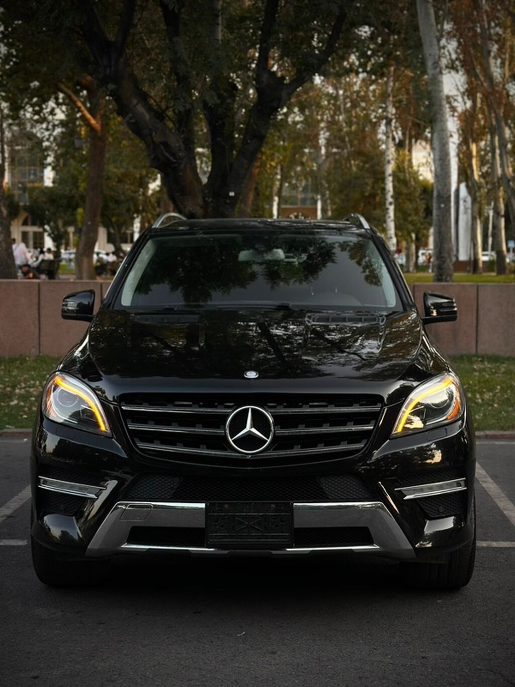 Mercedes-Benz ML-Class: 2012 г., 4.7 л, Автомат, Бензин, Кроссовер: фото 4