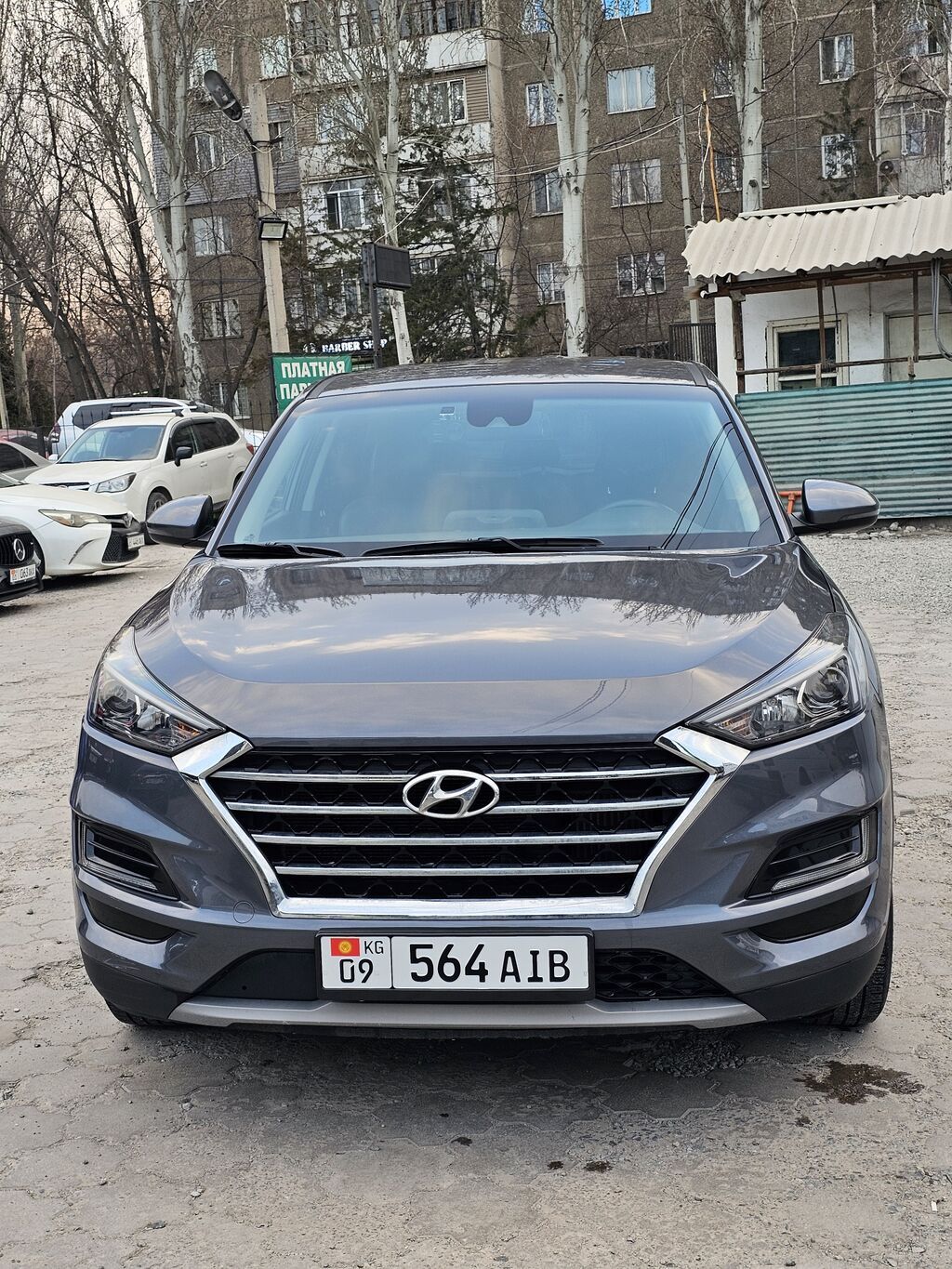 Hyundai Tucson: 2019 г., 1.6 л, Робот, Дизель, Кроссовер: фото 2