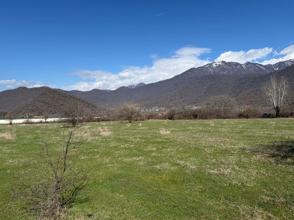 10 sot, Mülkiyyətçi, Kupça (Çıxarış)