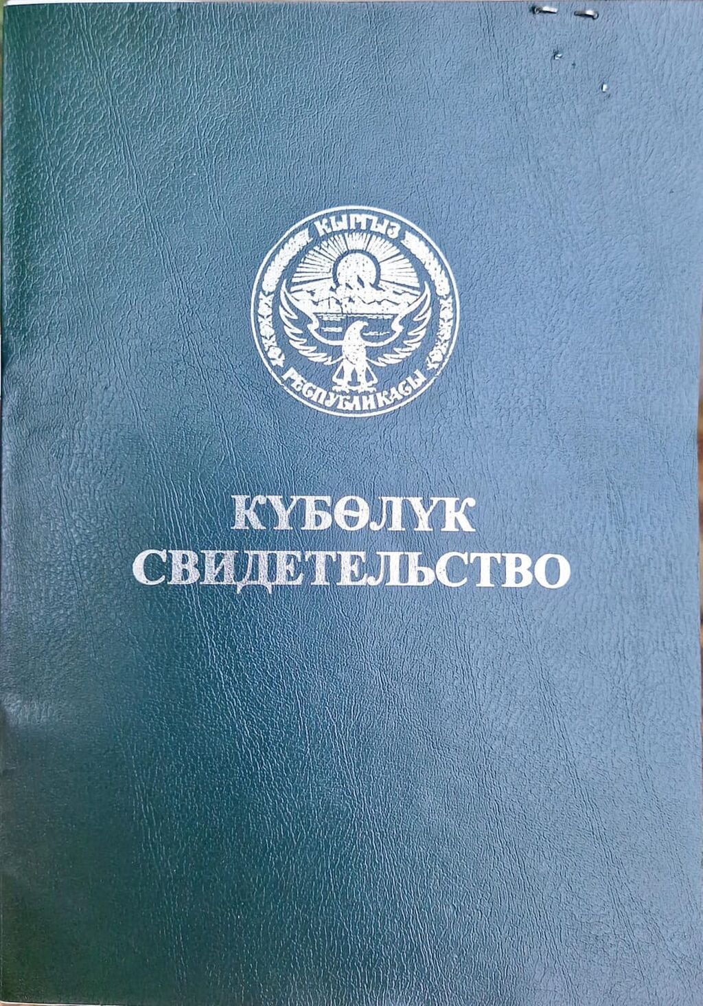 Продам участок 1 га (орошаемая пашня), с. Сары-Жон: фото 1