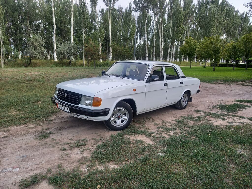 ГАЗ 31029 Volga: 1994 г., 2.4 л, Механика, Бензин, Седан: фото 3