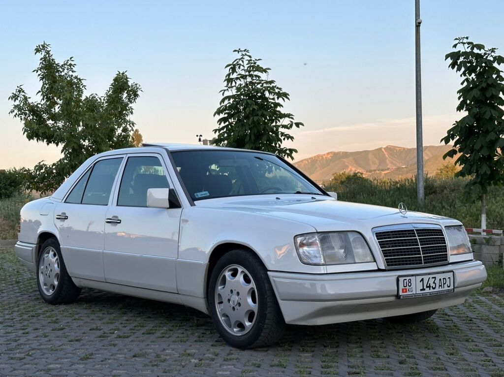 Mercedes-Benz W124: 1995 г., 2.2 л, Автомат, Бензин, Седан: фото 1