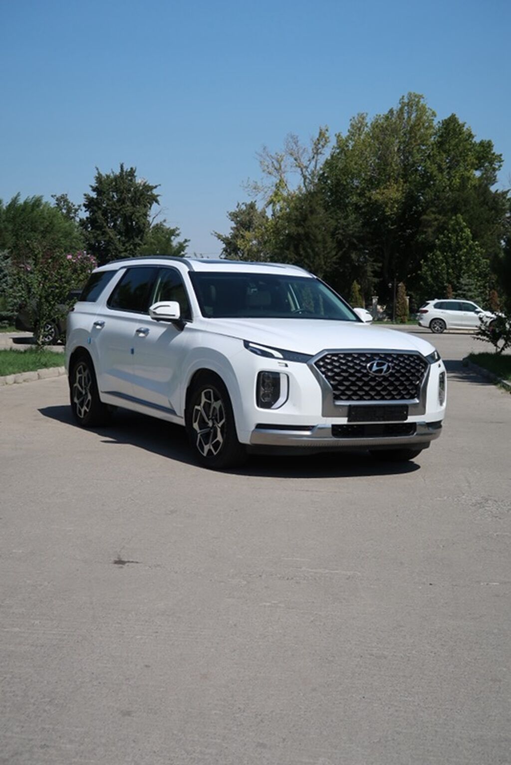 Hyundai Palisade: 2021 г., 2.2 л, Автомат, Дизель, Кроссовер: фото 6