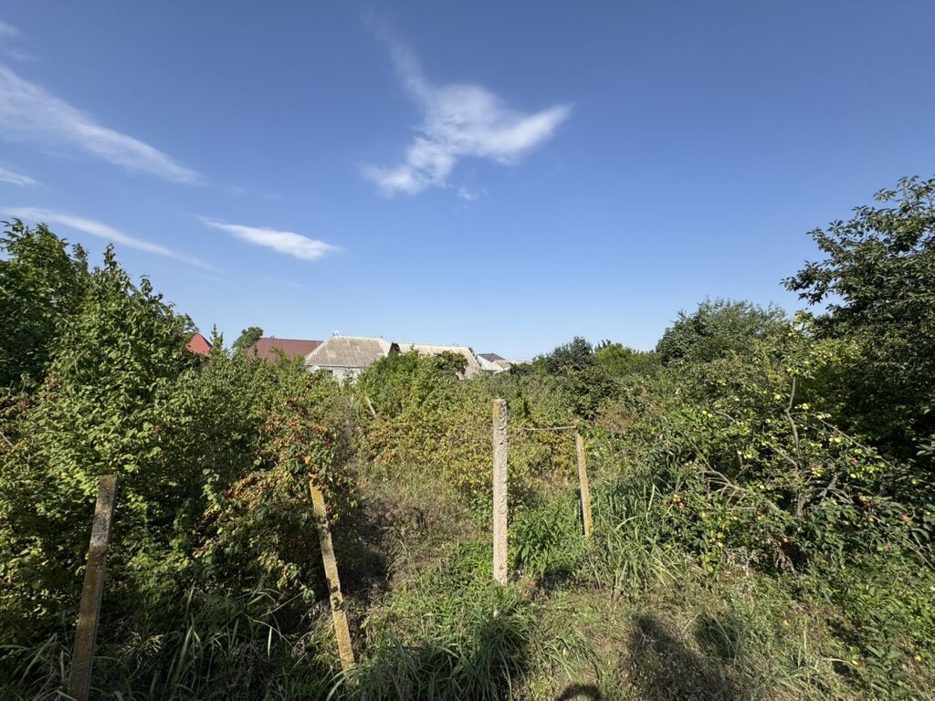 6 sot, Tikinti, Mülkiyyətçi, Kupça (Çıxarış)