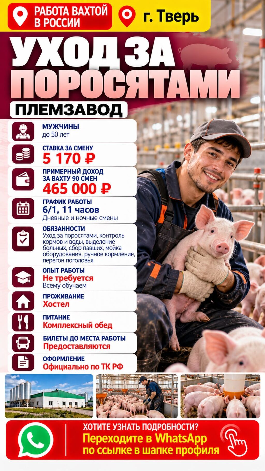 Вакансия грузчика на склад в Московской области: фото 8