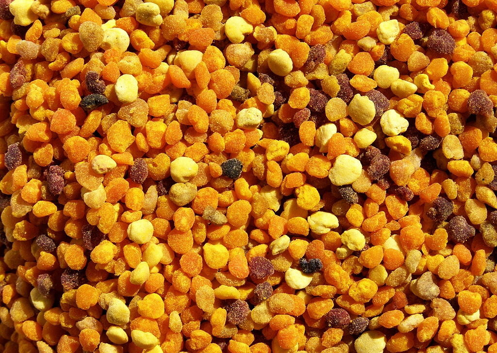 Пыльца цветочная пчелиная обножка. Пчелиная пыльца (bee pollen) vector. Цветочная пыльца и перга. Продукты пчеловодства пыльца. Сублимированная пчелиная пыльца.