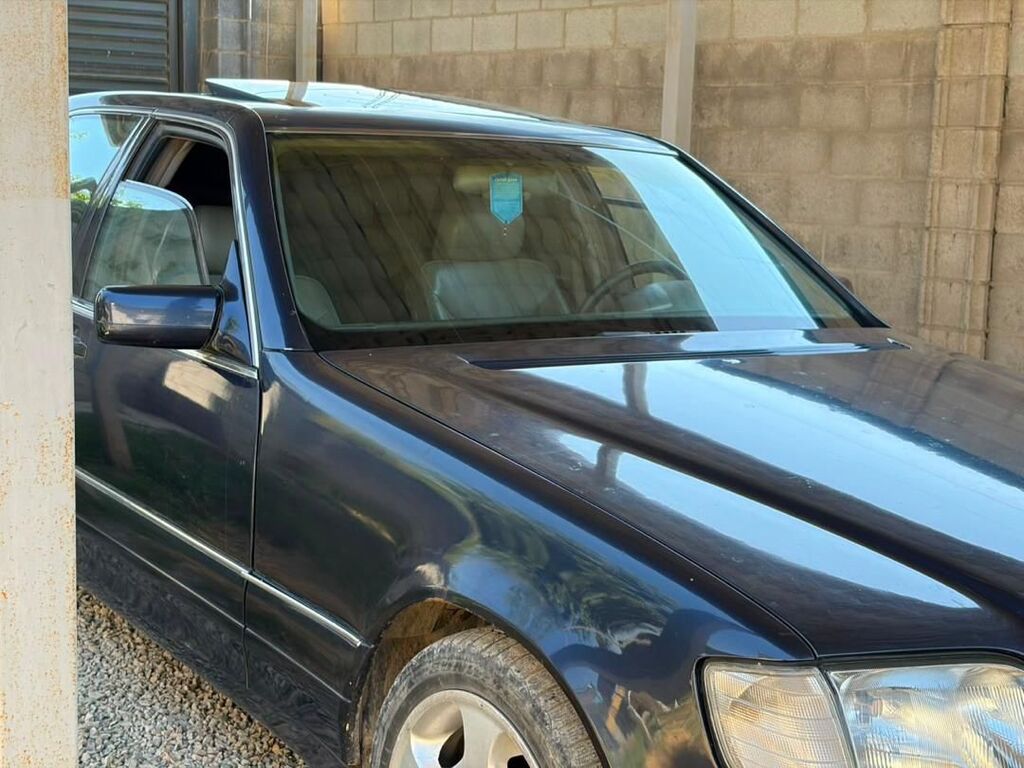 Mercedes-Benz S-Class: 1995 г., 4.2 л, Автомат, Бензин, Седан: фото 2