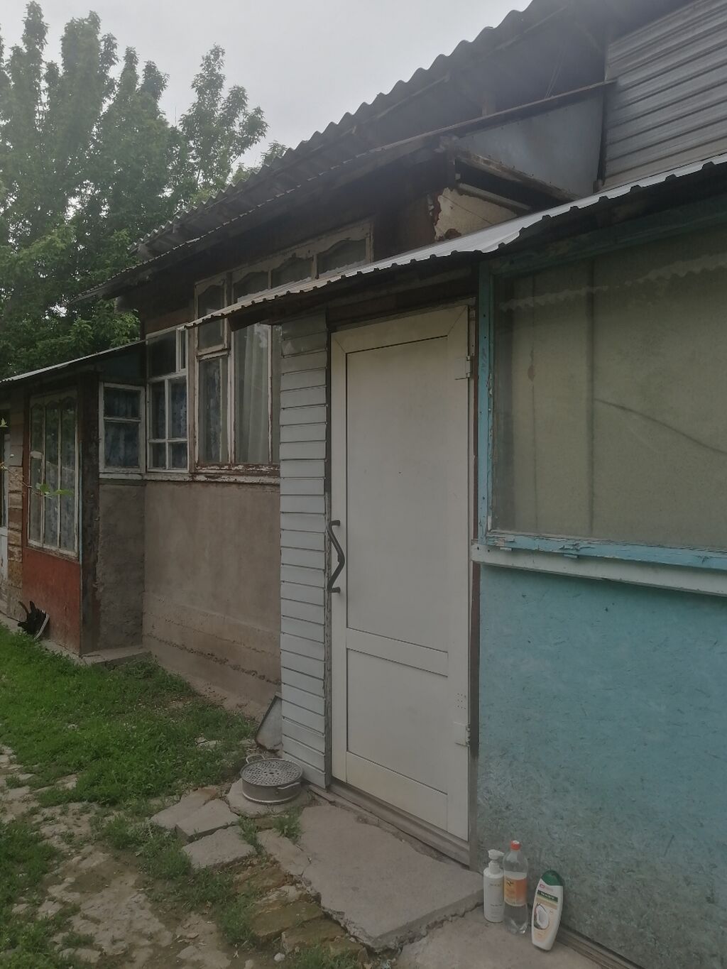 2 соток, Красная книга: фото 4