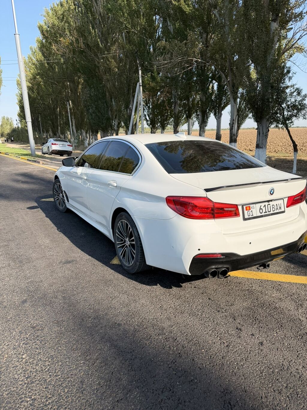 BMW 5 series: 2018 г., 2 л, Автомат, Бензин, Седан: фото 2