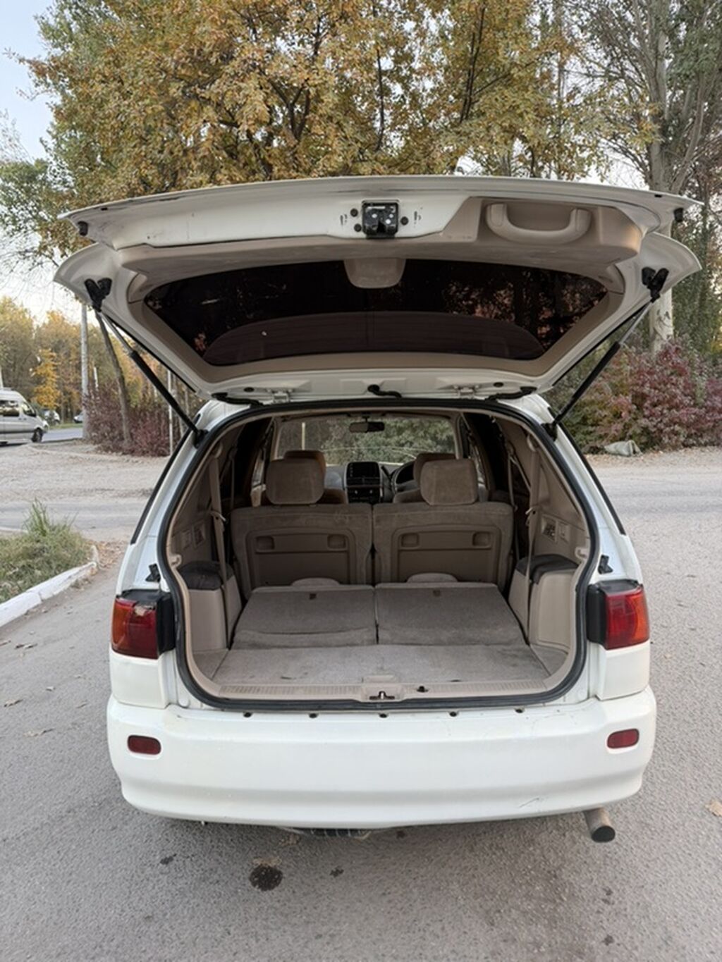 Toyota Ipsum: 2001 г., 2 л, Автомат, Бензин, Минивэн: фото 8