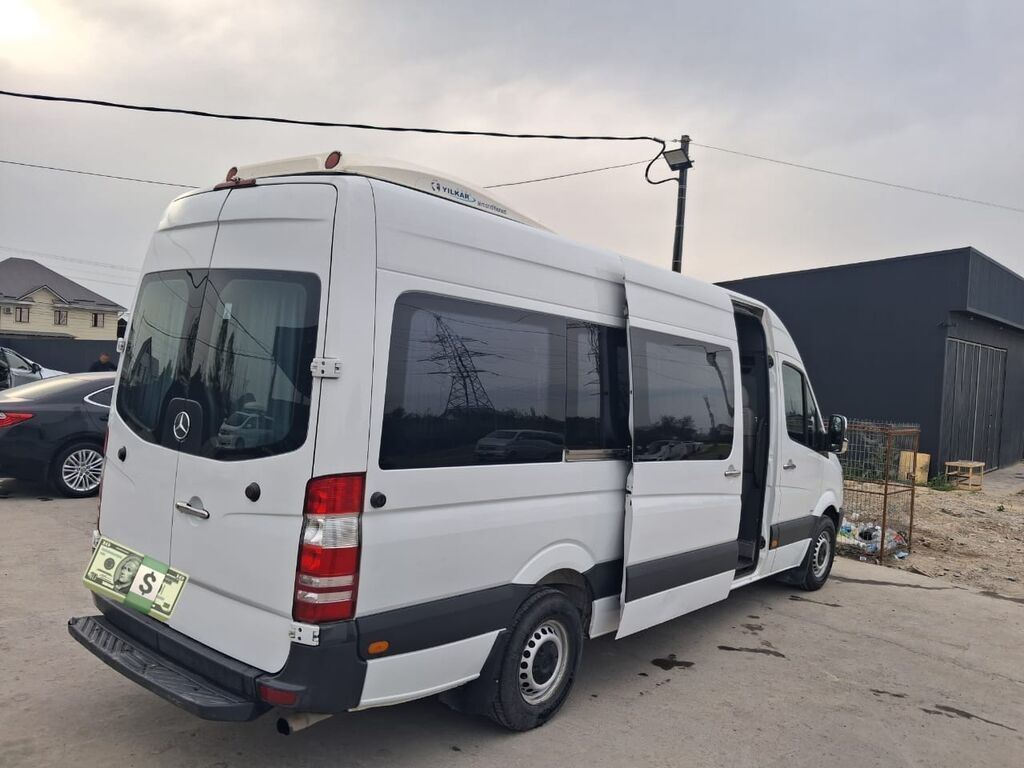Mercedes-Benz Спринтер: 2009 г., Бус: фото 5
