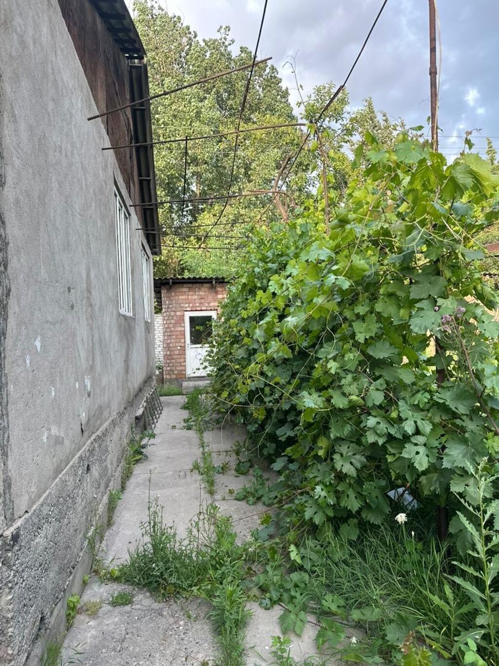 Продаю хороший благоустроенный дом возле рынка Баят, по Молодой: фото 5