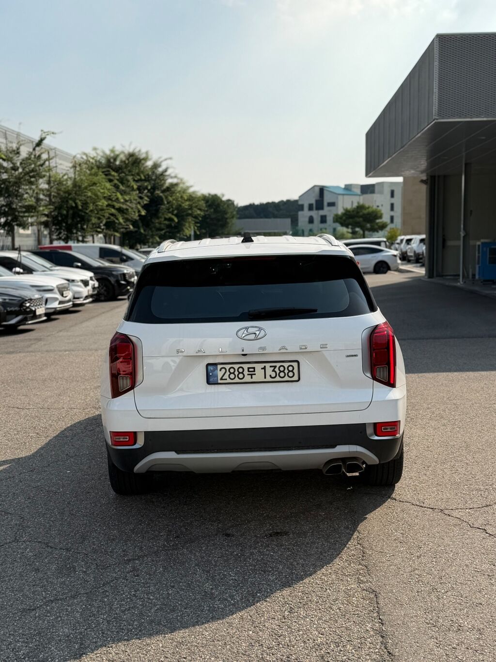 Hyundai Palisade: 2021 г., 2.2 л, Автомат, Дизель, Кроссовер: фото 6