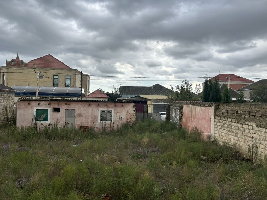 6 sot, Tikinti, Kupça (Çıxarış)