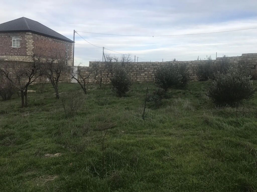 Xüsusi mülkiyyət, su, işıq, qaz, internet xətləri mövcüddur. Hamısı