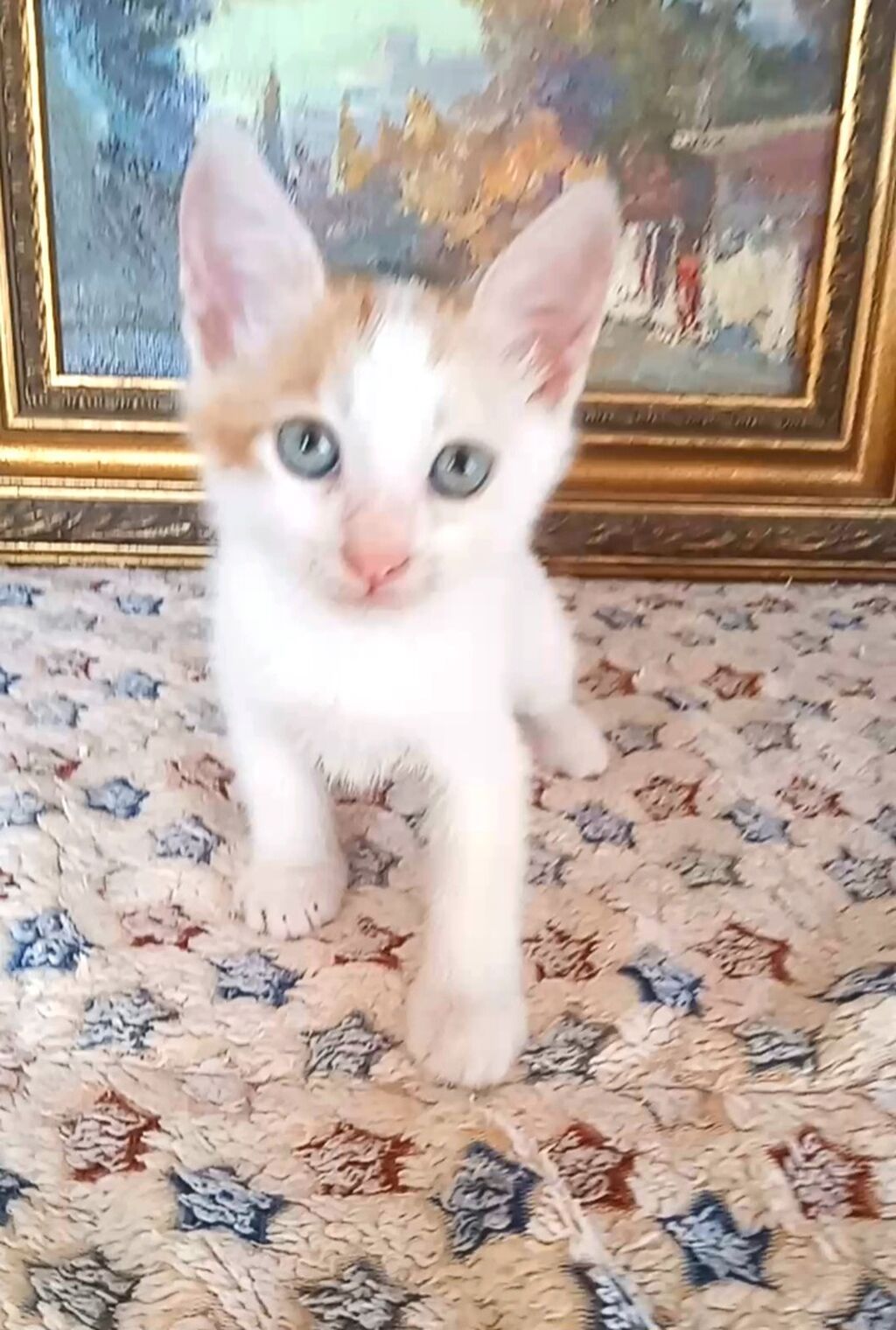 Erkək, Yaxşı əllərə