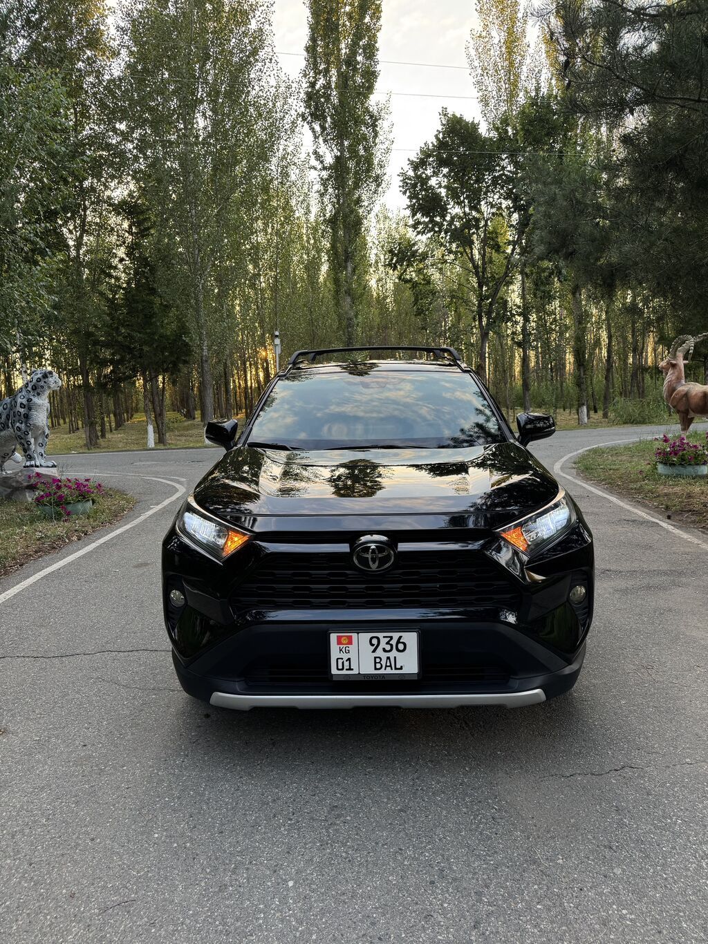 Toyota RAV4: 2020 г., 2.5 л, Автомат, Бензин, Кроссовер: фото 2