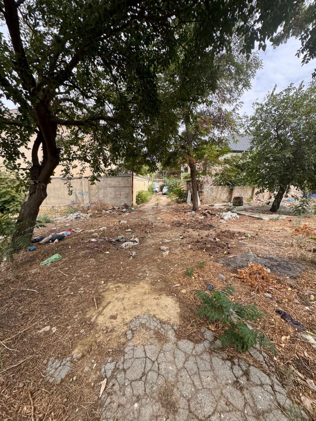 31 sot, Tikinti, Makler, Kupça (Çıxarış)