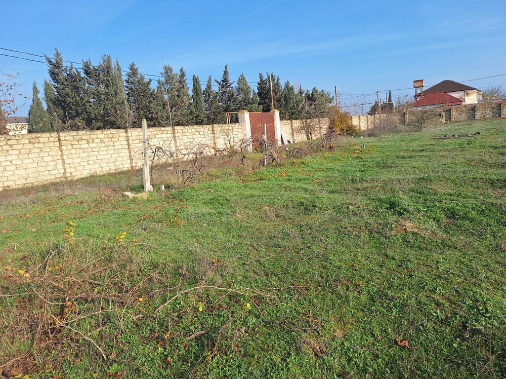 200 sot, Tikinti, Mülkiyyətçi, Kupça (Çıxarış)