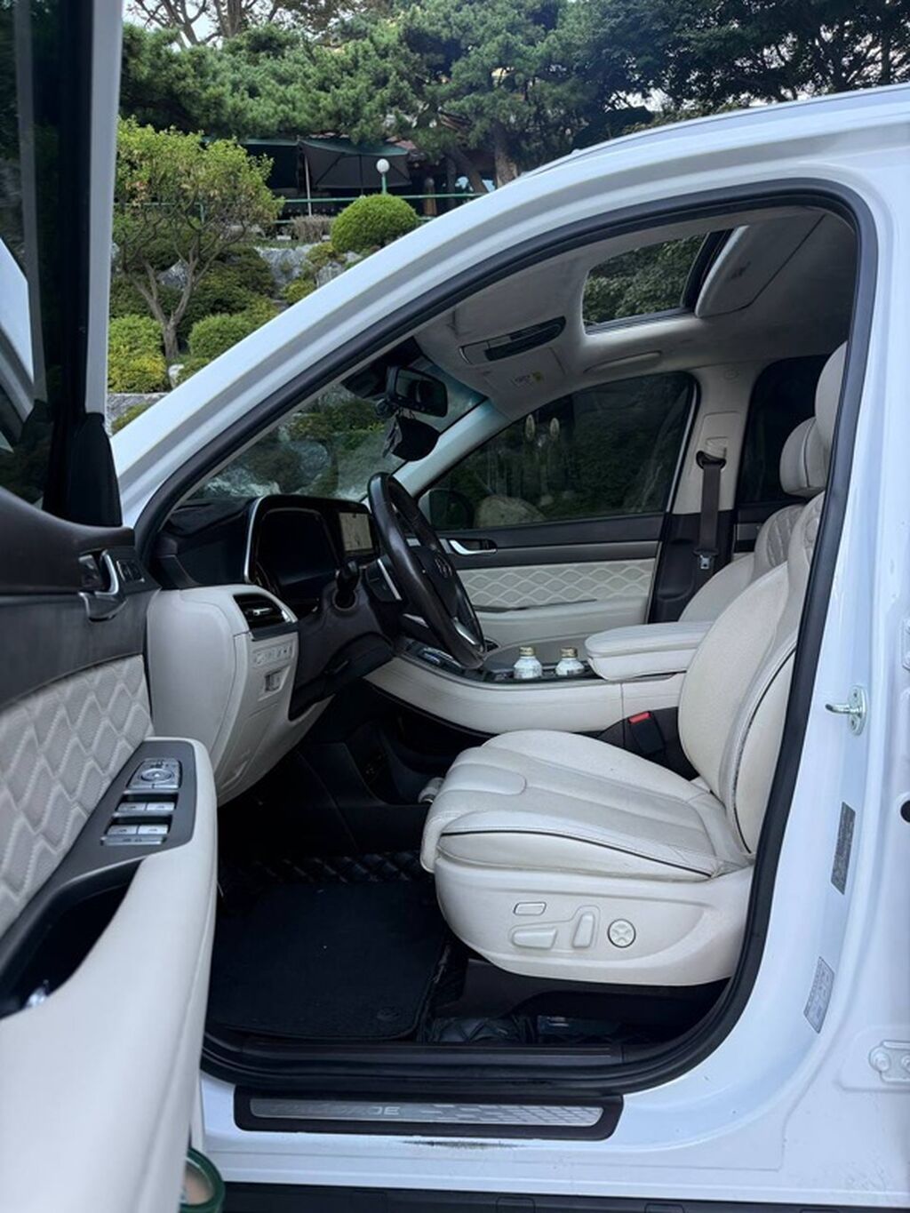 Hyundai Palisade: 2021 г., Кроссовер: фото 8