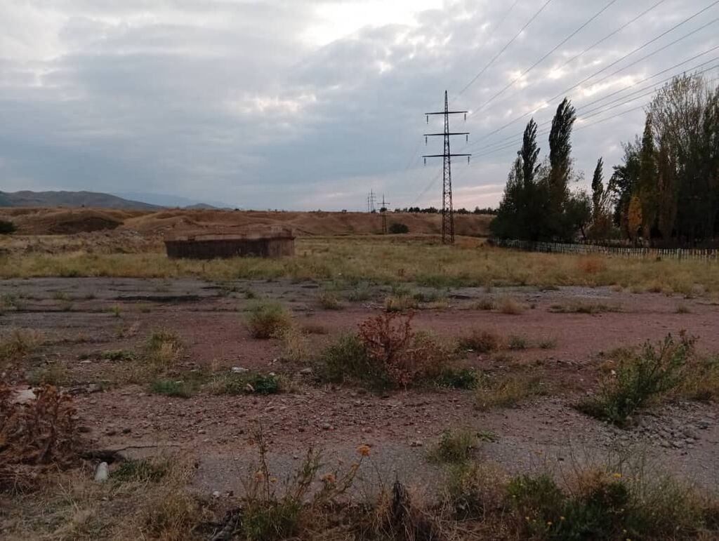 50 соток, Для бизнеса: фото 2