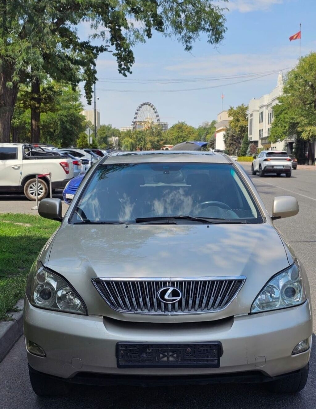 Lexus RX: 2004 г., 3 л, Автомат, Бензин, Кроссовер: фото 2