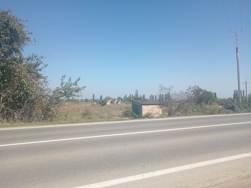 Biznes üçün