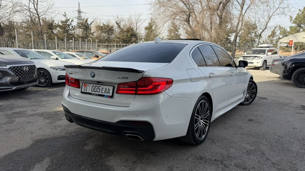 BMW 530: 2019 г., 2 л, Автомат, Бензин, Седан — фото 3