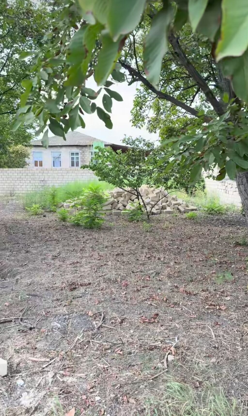 10 sot, Tikinti, Barter mümkündür, Kupça (Çıxarış)