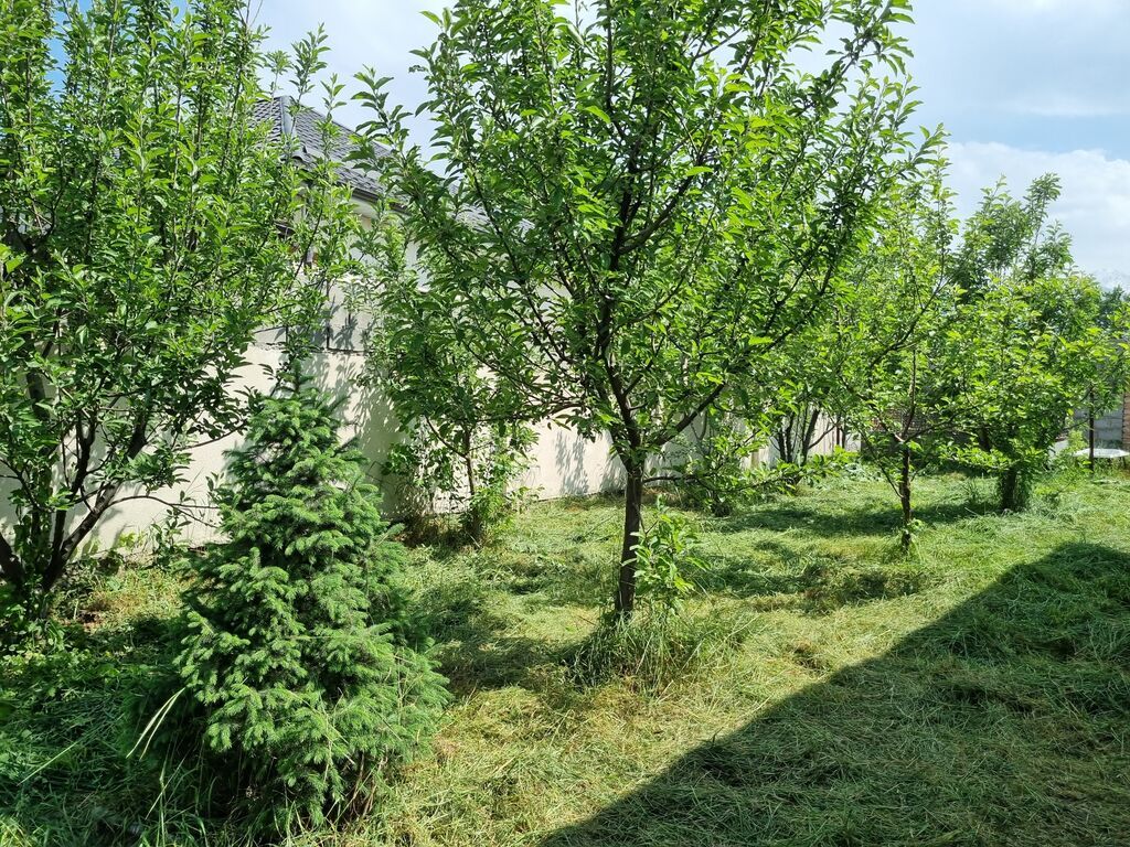 Продается кирпич.дом 145 м2 участок 12 соток,в с.Байтик,200 метров от: фото 7