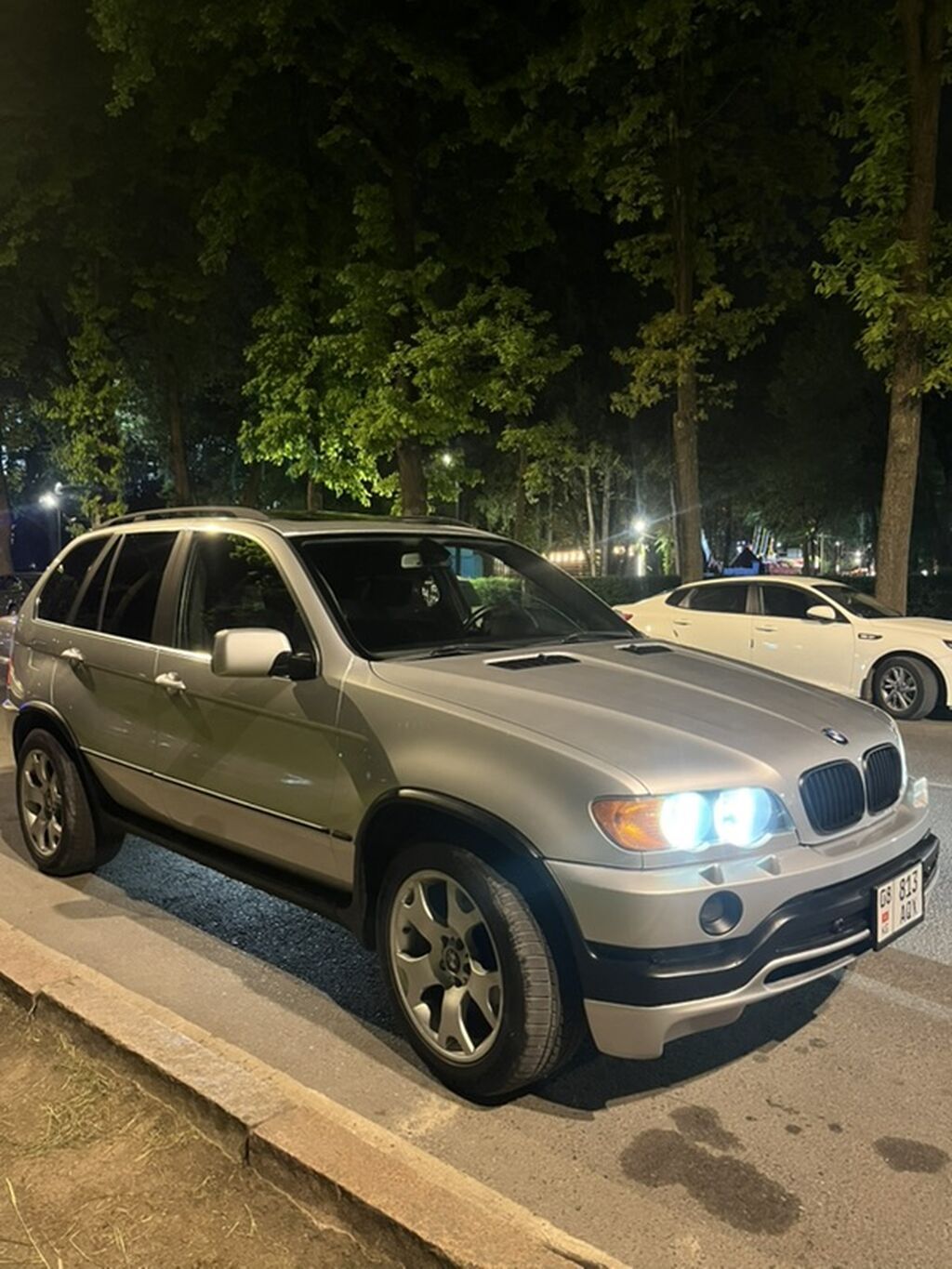 BMW X5: 2002 г., 4.4 л, Кроссовер — фото 3