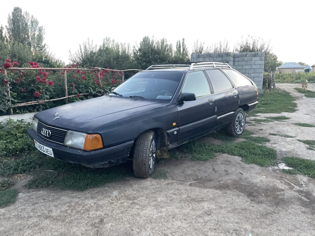 Audi 100: 1989 г., Механика, Универсал: фото 2