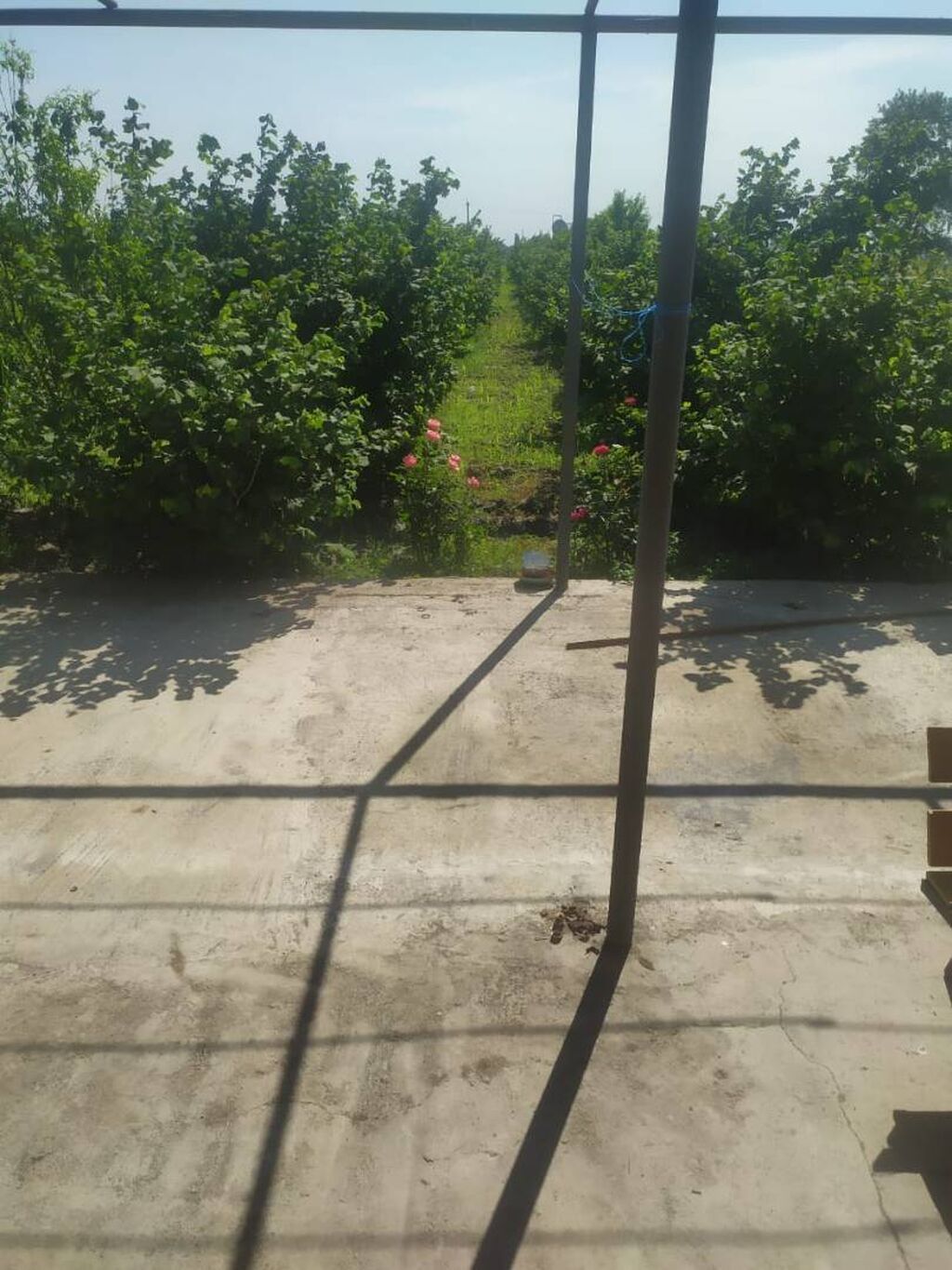 Xaçmaz, 70 kv. m, 2 otaqlı, Hovuzsuz, Artezian quyusu, Qaz, İşıq