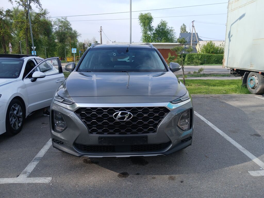 Hyundai Santa Fe: 2019 г., 2.2 л, Автомат, Дизель, Кроссовер: фото 7